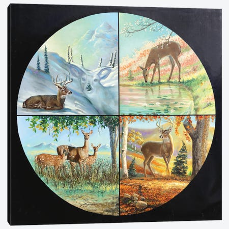 Deer Four Seasons Canvas Print #RSR330} by D. "Rusty" Rust Art Print
