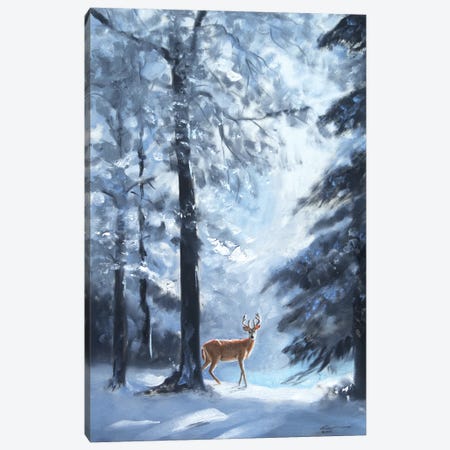 Deer In Snowy Woods Canvas Print #RSR33} by D. "Rusty" Rust Canvas Print