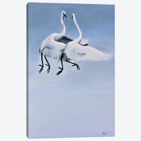 Egrets Courtships Canvas Print #RSR343} by D. "Rusty" Rust Canvas Art
