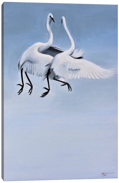 Egrets Courtships Canvas Art Print - Egret Art