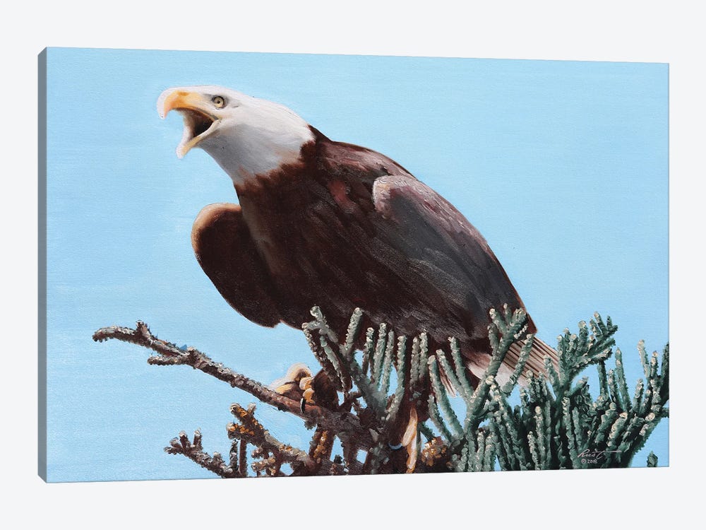 Eagle by D. "Rusty" Rust 1-piece Canvas Print