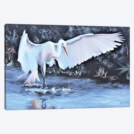 White Egret Looking For Dinner Canvas Print #RSR345} by D. "Rusty" Rust Canvas Print