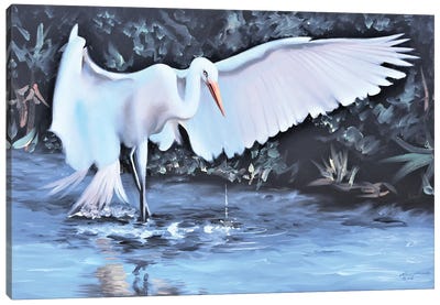 White Egret Looking For Dinner Canvas Art Print - Egret Art