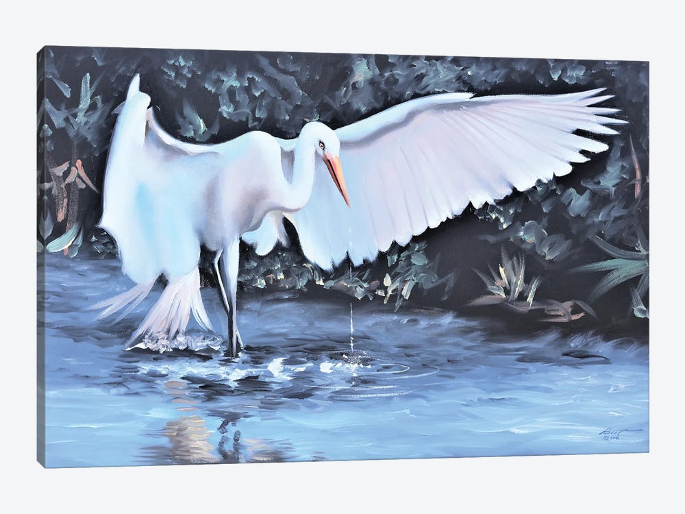White Egret Looking For Dinner by D. "Rusty" Rust 1-piece Canvas Wall Art