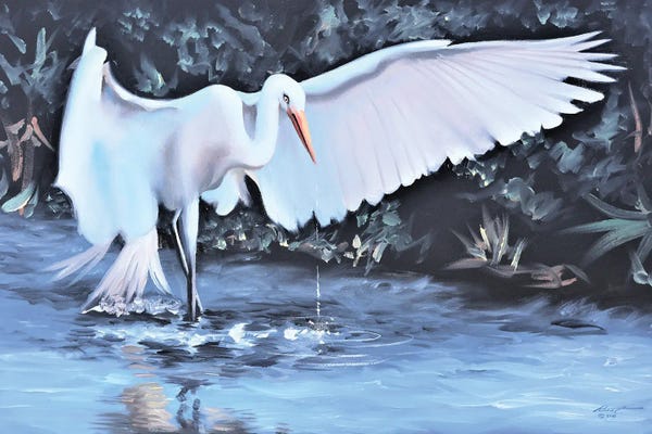 Egrets: White Egret Looking For Dinner by D. "Rusty" Rust