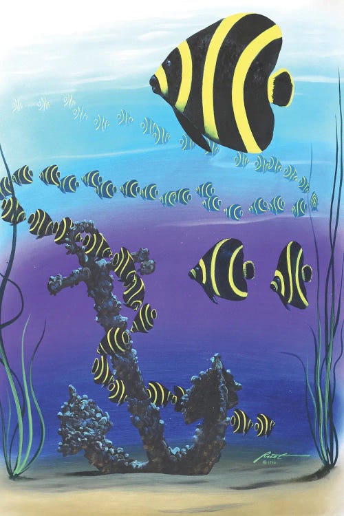 French Angelfish Illusion