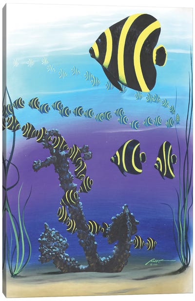 French Angelfish Illusion Canvas Art Print - Anchor Art