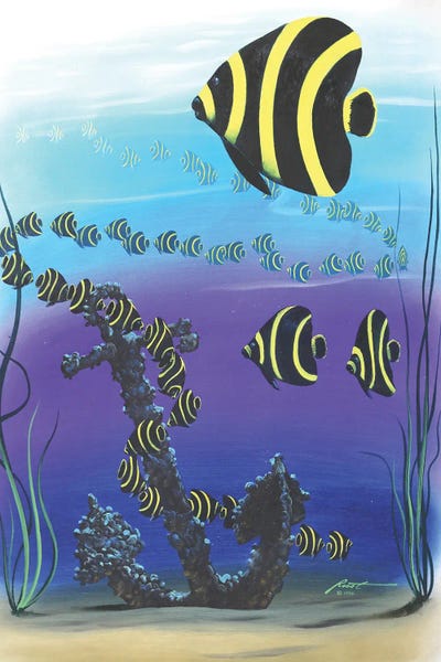 Anchors: French Angelfish Illusion by D. "Rusty" Rust