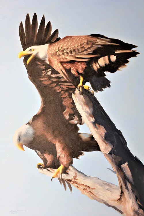 Two Eagles Up High