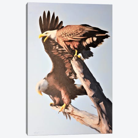 Two Eagles Up High Canvas Print #RSR349} by D. "Rusty" Rust Canvas Artwork