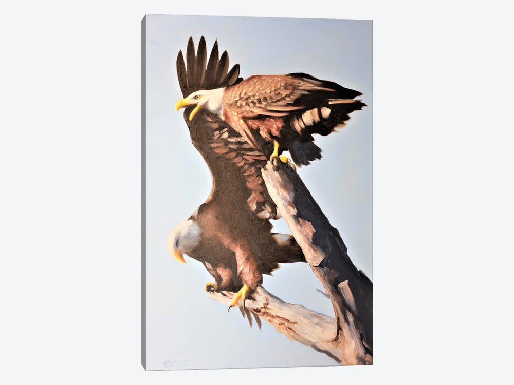 Two Eagles Up High by D. "Rusty" Rust 1-piece Canvas Art