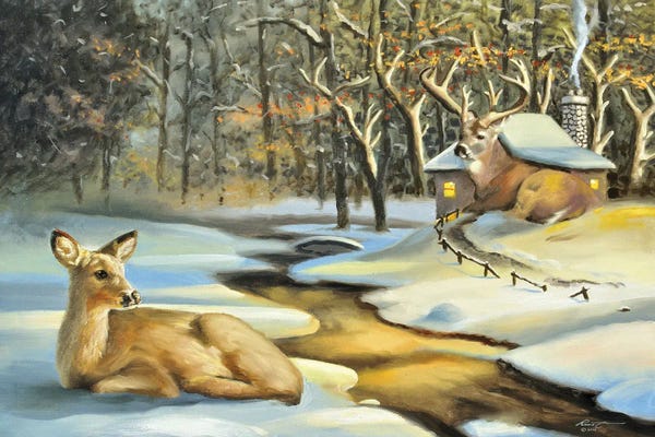 Cabins: Deer Cabin Illusion by D. "Rusty" Rust