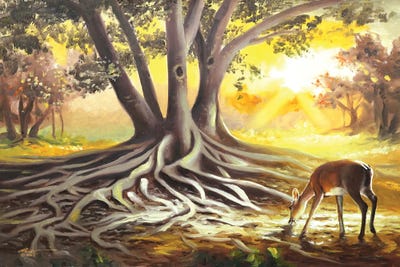 Deer By A Banyan Tree by D. "Rusty" Rust art print