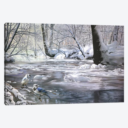 Winter's Wonder Canvas Print #RSR365} by D. "Rusty" Rust Canvas Print