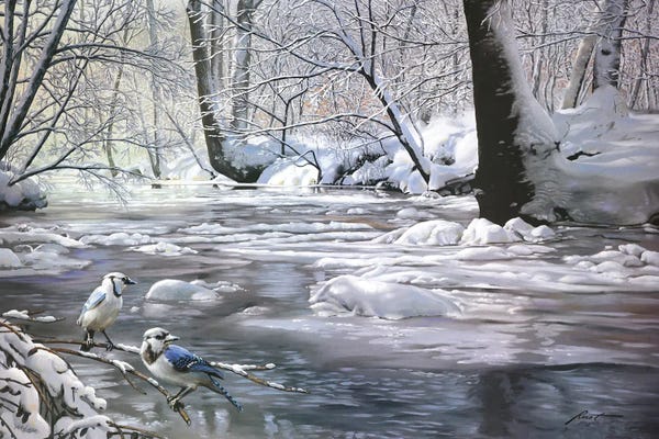 Rustic Winter: Winter's Wonder by D. "Rusty" Rust