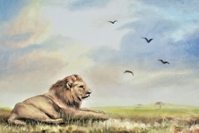 Lion Relaxing In The Wild by D. "Rusty" Rust art print