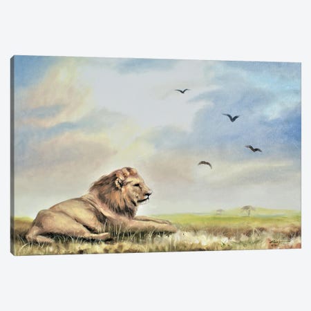 Lion Relaxing In The Wild Canvas Print #RSR369} by D. "Rusty" Rust Canvas Artwork