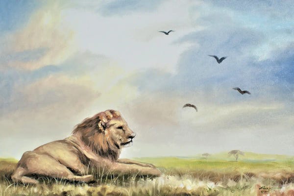 Lion Relaxing In The Wild