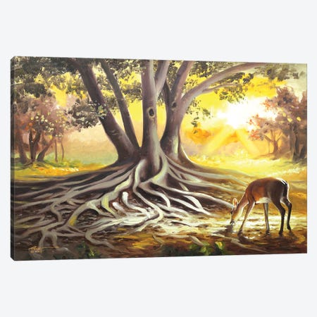 Deer By A Banyan Tree Canvas Print #RSR36} by D. "Rusty" Rust Canvas Art
