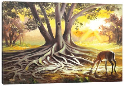 Deer By A Banyan Tree Canvas Art Print