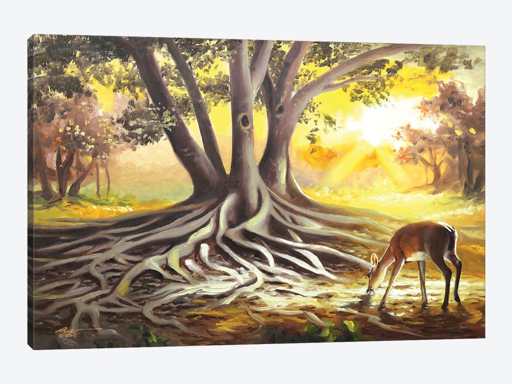 Deer By A Banyan Tree by D. "Rusty" Rust 1-piece Canvas Art