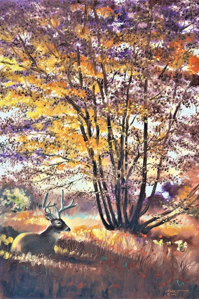 Buck Resting Under A Tree by D. "Rusty" Rust art print