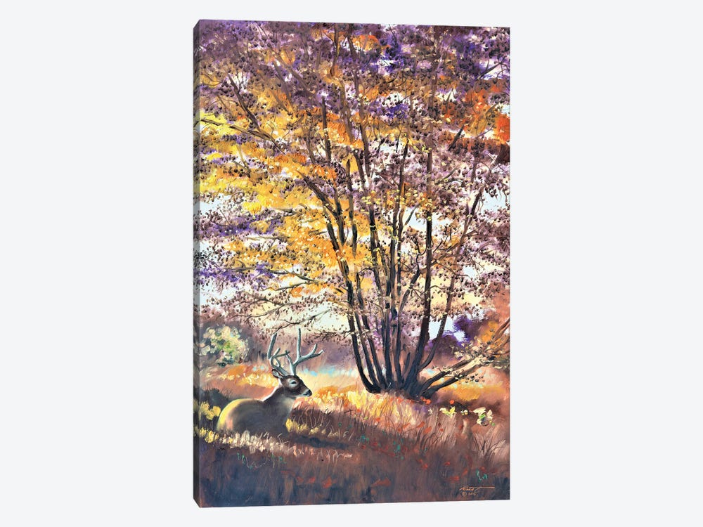 Buck Resting Under A Tree by D. "Rusty" Rust 1-piece Canvas Print