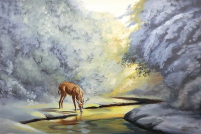 Deer At Sunrise By The Creek by D. "Rusty" Rust art print
