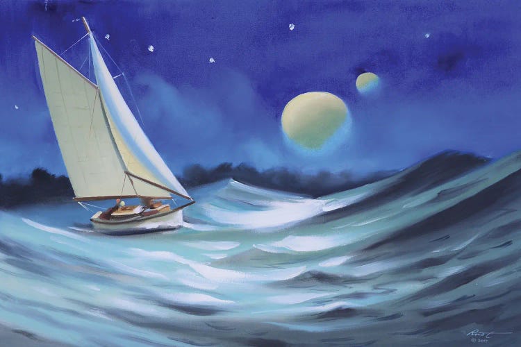 Sailing In The Moonlight by D. "Rusty" Rust wall art