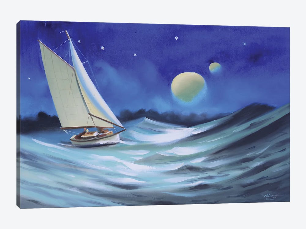 Sailing In The Moonlight by D. "Rusty" Rust 1-piece Canvas Wall Art