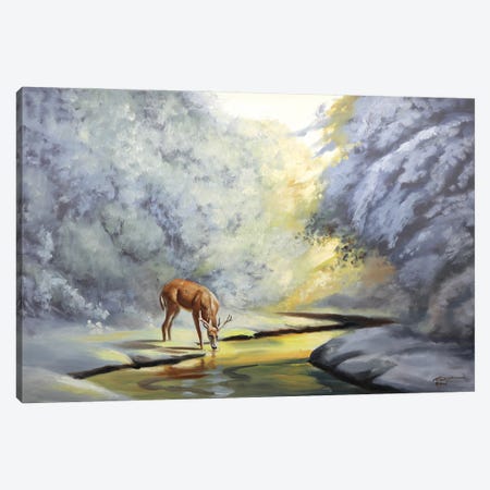 Deer At Sunrise By The Creek Canvas Print #RSR38} by D. "Rusty" Rust Canvas Print
