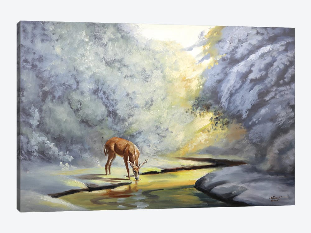 Deer At Sunrise By The Creek by D. "Rusty" Rust 1-piece Canvas Wall Art