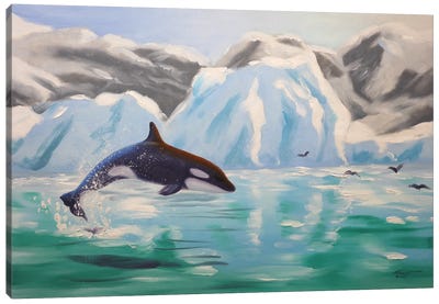 Orca Whale Canvas Art Print - Glacier & Iceberg Art