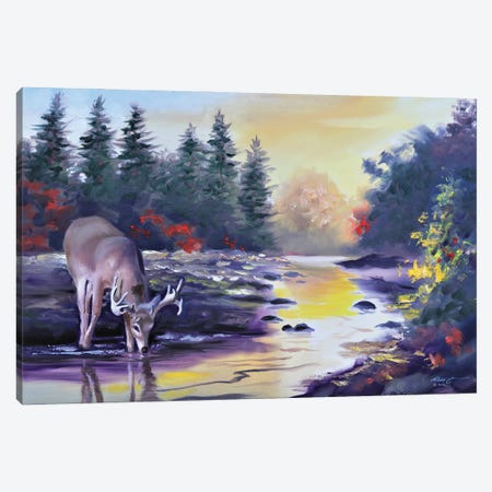 Buck Drinking From The Creek Canvas Print #RSR40} by D. "Rusty" Rust Canvas Art
