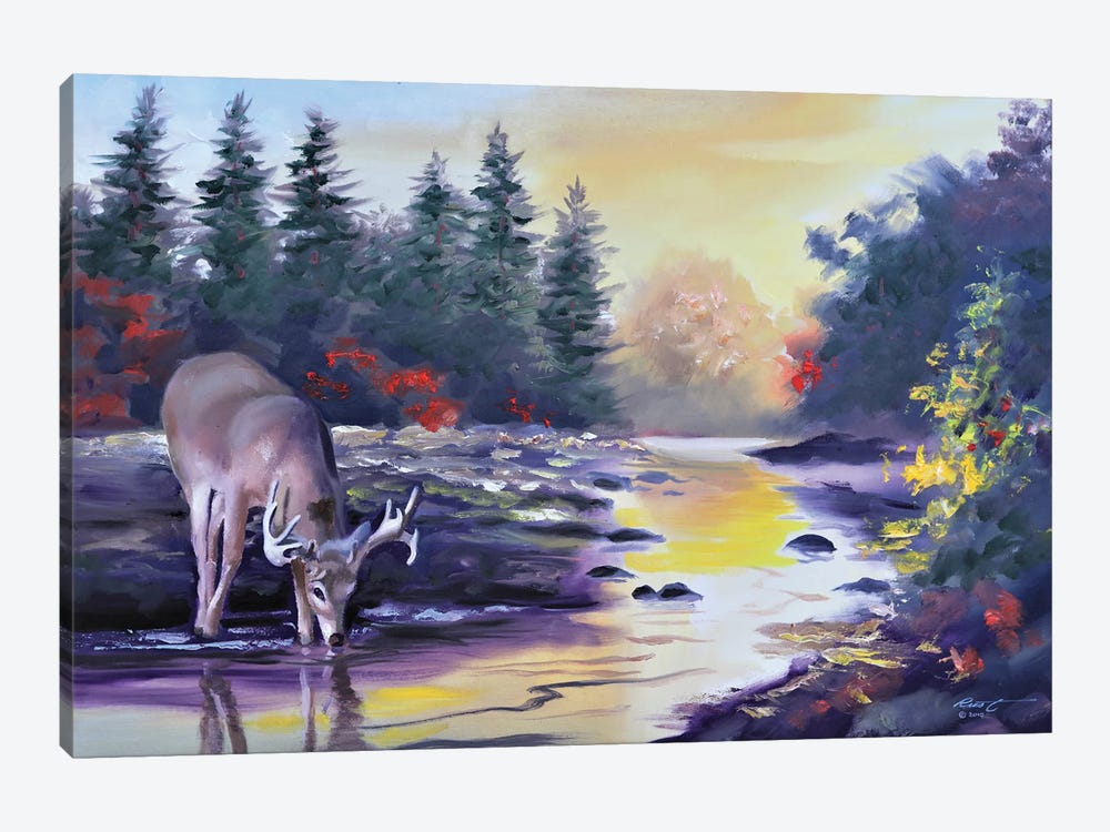 Buck Drinking From The Creek by D. "Rusty" Rust 1-piece Canvas Print