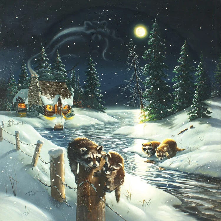 Raccoons - Illusion by D. "Rusty" Rust wall art