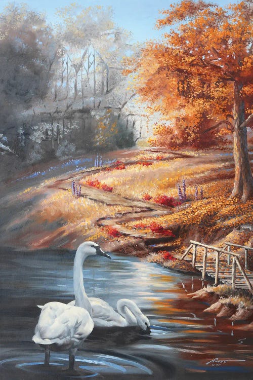 Swans In Fall Scene