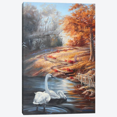 Swans In Fall Scene Canvas Print #RSR418} by D. "Rusty" Rust Canvas Wall Art