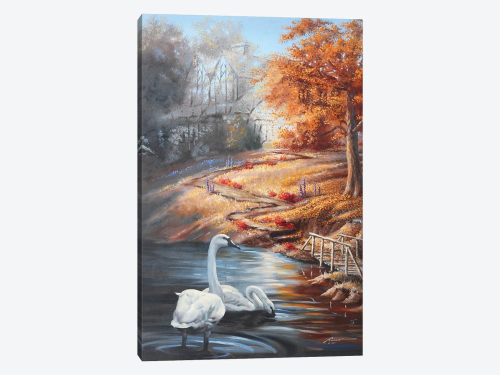 Swans In Fall Scene by D. "Rusty" Rust 1-piece Canvas Print