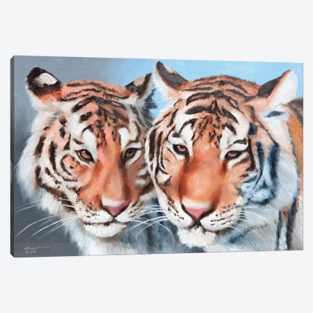 Two Tigers Canvas Print #RSR421} by D. "Rusty" Rust Canvas Print
