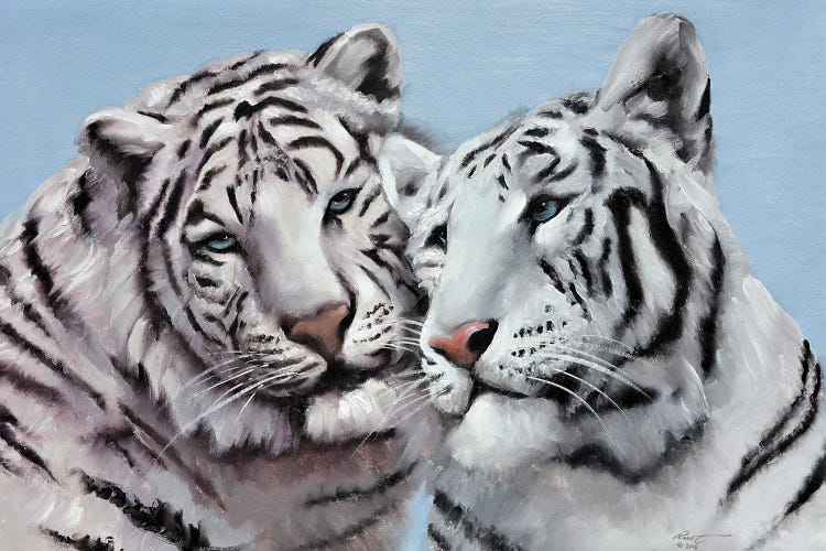 Loving White Tigers