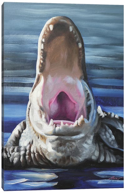 Alligator II Canvas Art Print - Crocodile & Alligator Art