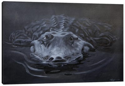 Alligator III Canvas Art Print - Crocodile & Alligator Art