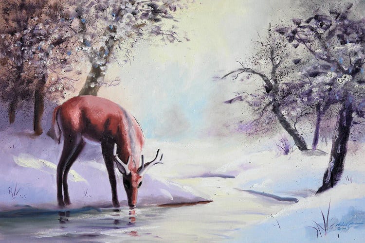 Buck At The Creek In Winter