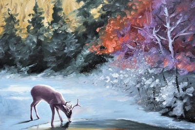 Buck Taking A Break By The Creek by D. "Rusty" Rust canvas print