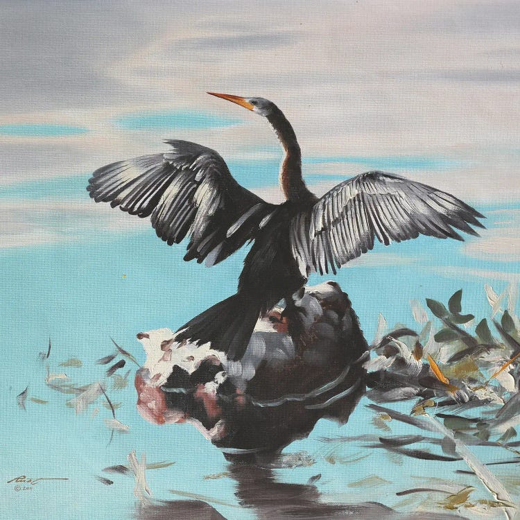 Anhinga