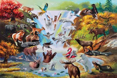 Anifalls by D. "Rusty" Rust canvas print