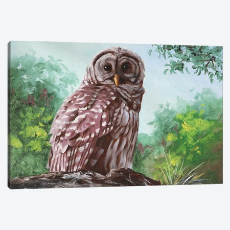 Barred Owl II Canvas Print #RSR446} by D. "Rusty" Rust Canvas Artwork
