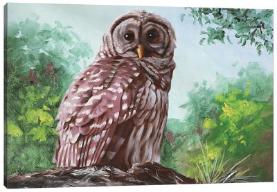 Barred Owl II Canvas Art Print - D. "Rusty" Rust