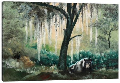 Black Bear II Canvas Art Print - Black Bear Art